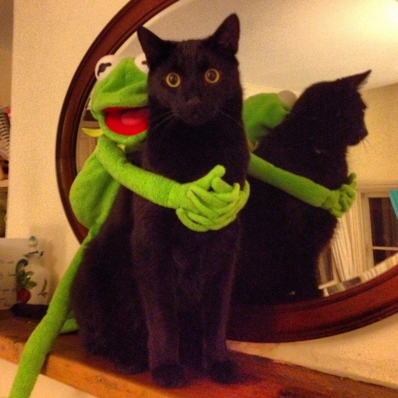 Kermit photo 3