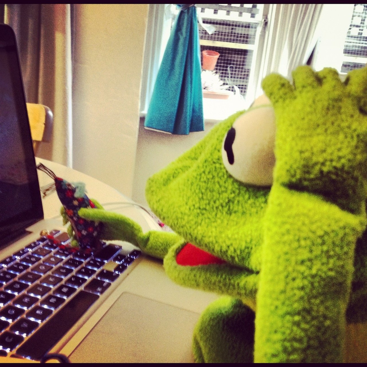 Kermit photo 4
