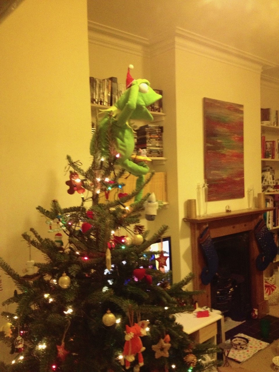 Kermit photo 8