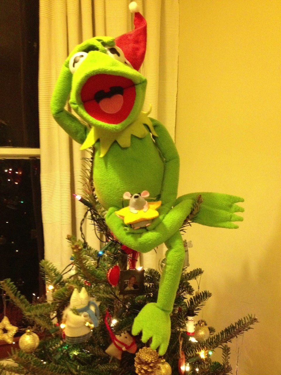 Kermit photo 10