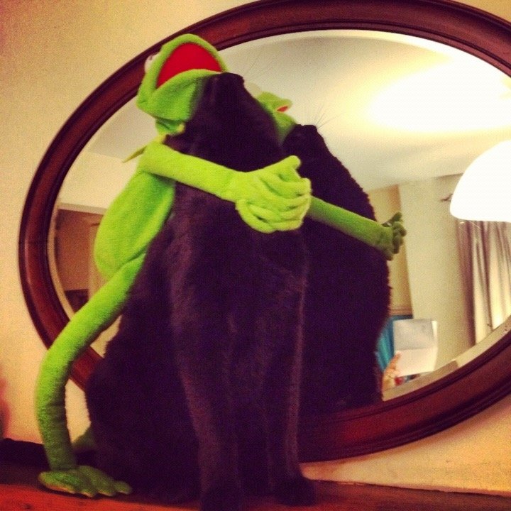 Kermit photo 15