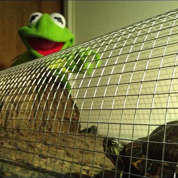 Someone's being inquisitive