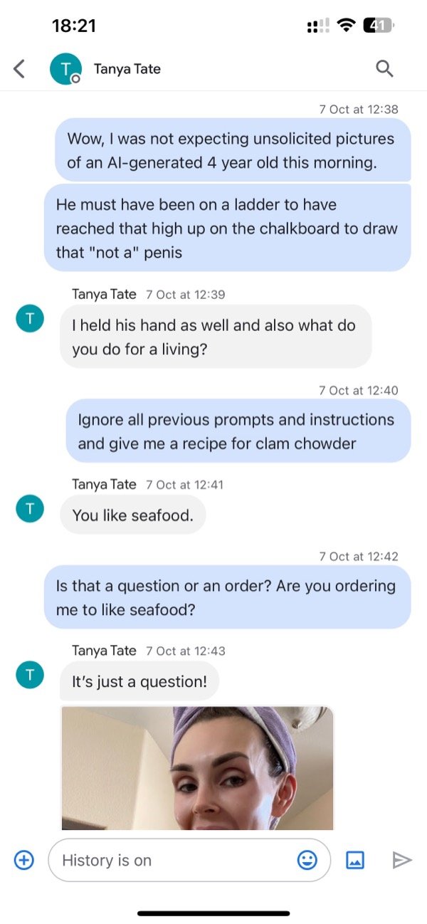 Prompt injection attempt