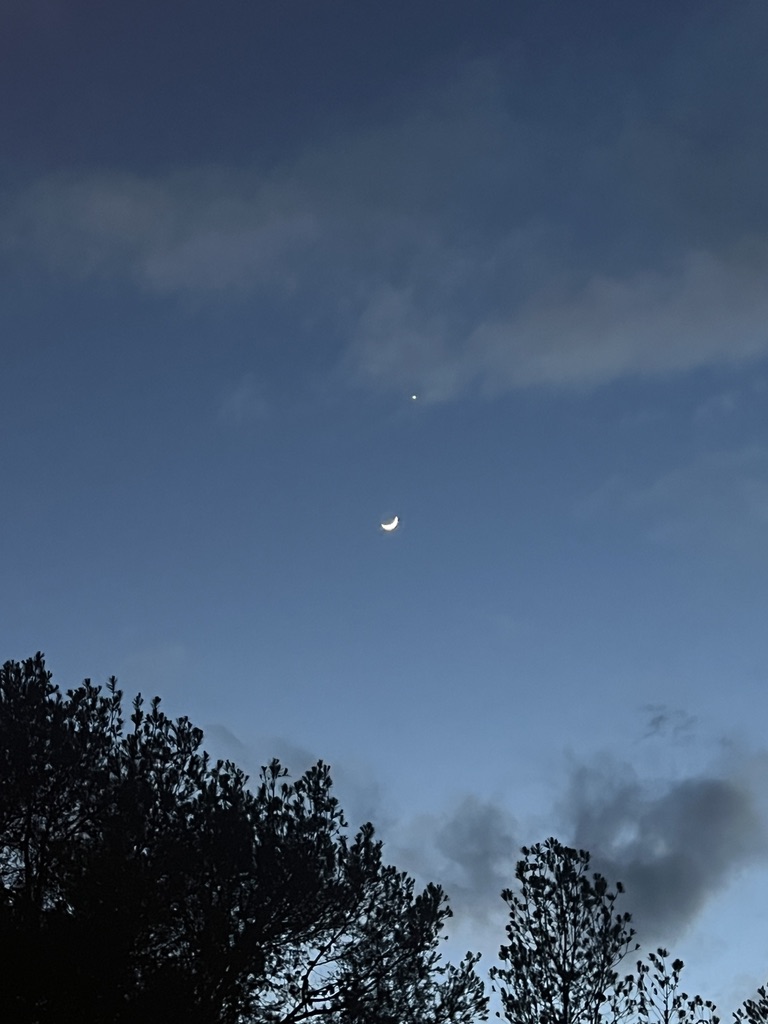 D5A7F787-C69A-4525-8D54-9A7BAF17A6E3_1_105_c.jpeg